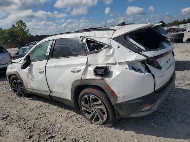 2025 HYUNDAI TUCSON LIM - 5NMJE3DE4SH566811