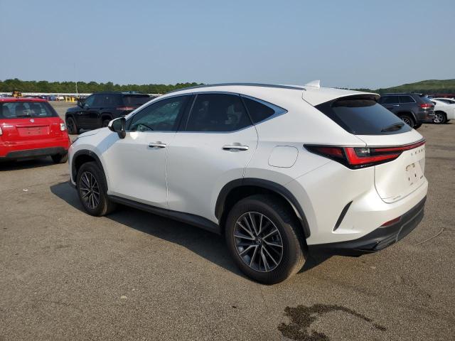 2024 LEXUS NX 250 BAS JTJADCAZ9R5014161
