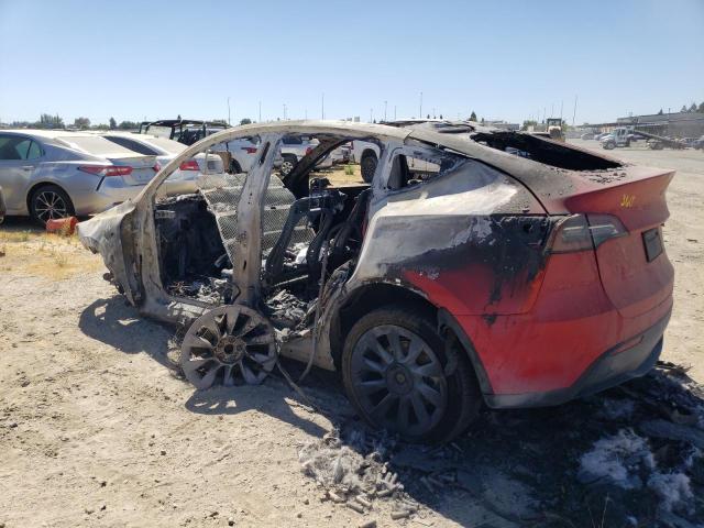 2021 TESLA MODEL Y - 5YJYGDEE9MF213157