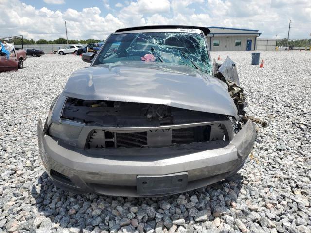 2010 FORD MUSTANG - 1ZVBP8EN1A5117708