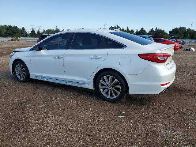 2016 HYUNDAI SONATA SPO - 5NPE34AFXGH423284