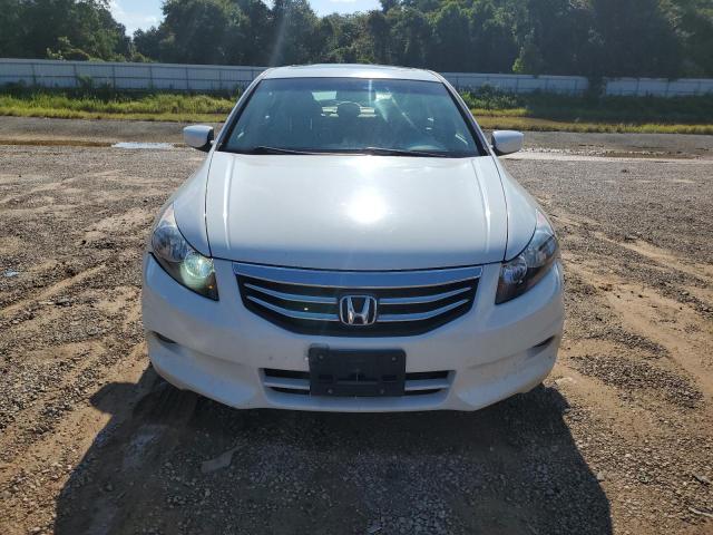 2011 HONDA ACCORD EXL - 1HGCP3F89BA024514