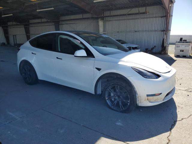 2024 TESLA MODEL Y 7SAYGDED1RF165686