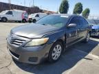 Top Destinations for Shipping Cars from the USA