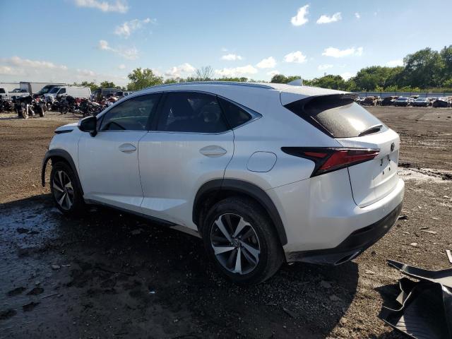 2020 LEXUS NX 300 JTJDARBZ8L5007667