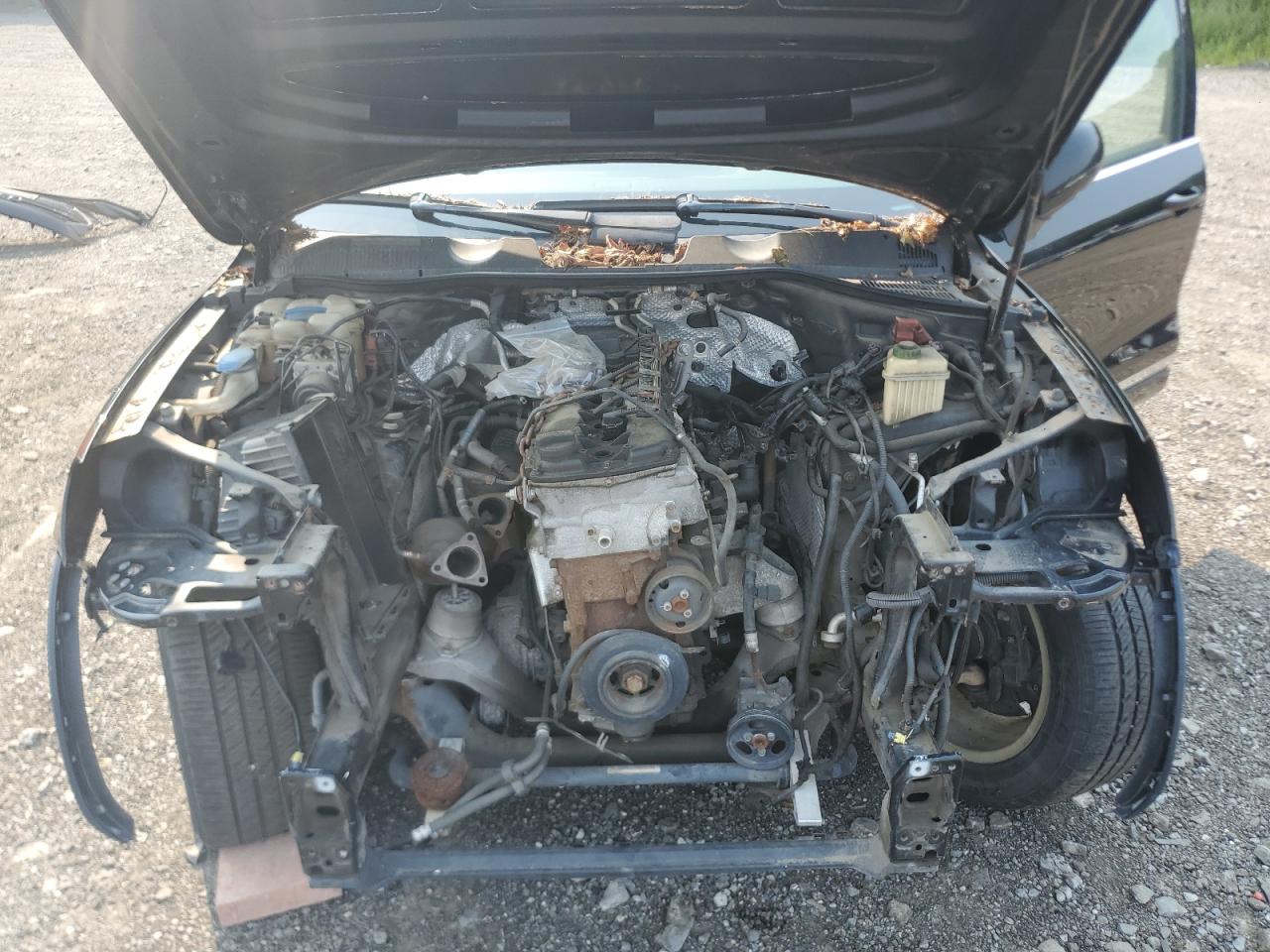 VOLKSWAGEN TOUAREG V6