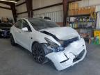 Lot #3308466276 2023 TESLA MODEL Y