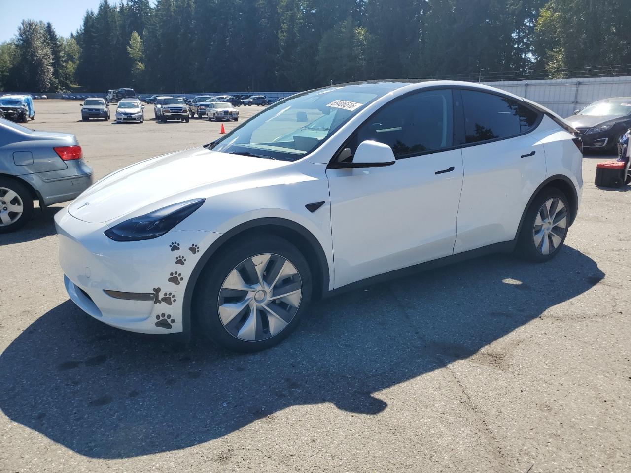 TESLA MODEL Y