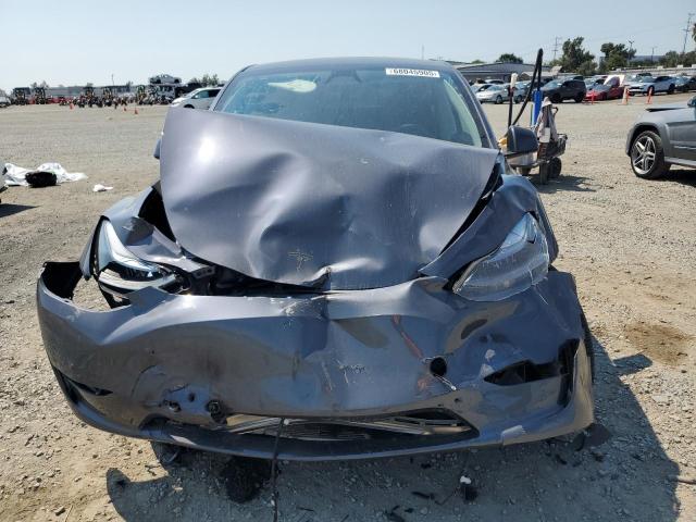 2023 TESLA MODEL Y 7SAYGDED3PF962552