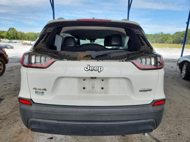 2019 JEEP CHEROKEE L 1C4PJMLB6KD213370