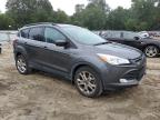 Lot #3294486583 2015 FORD ESCAPE SE