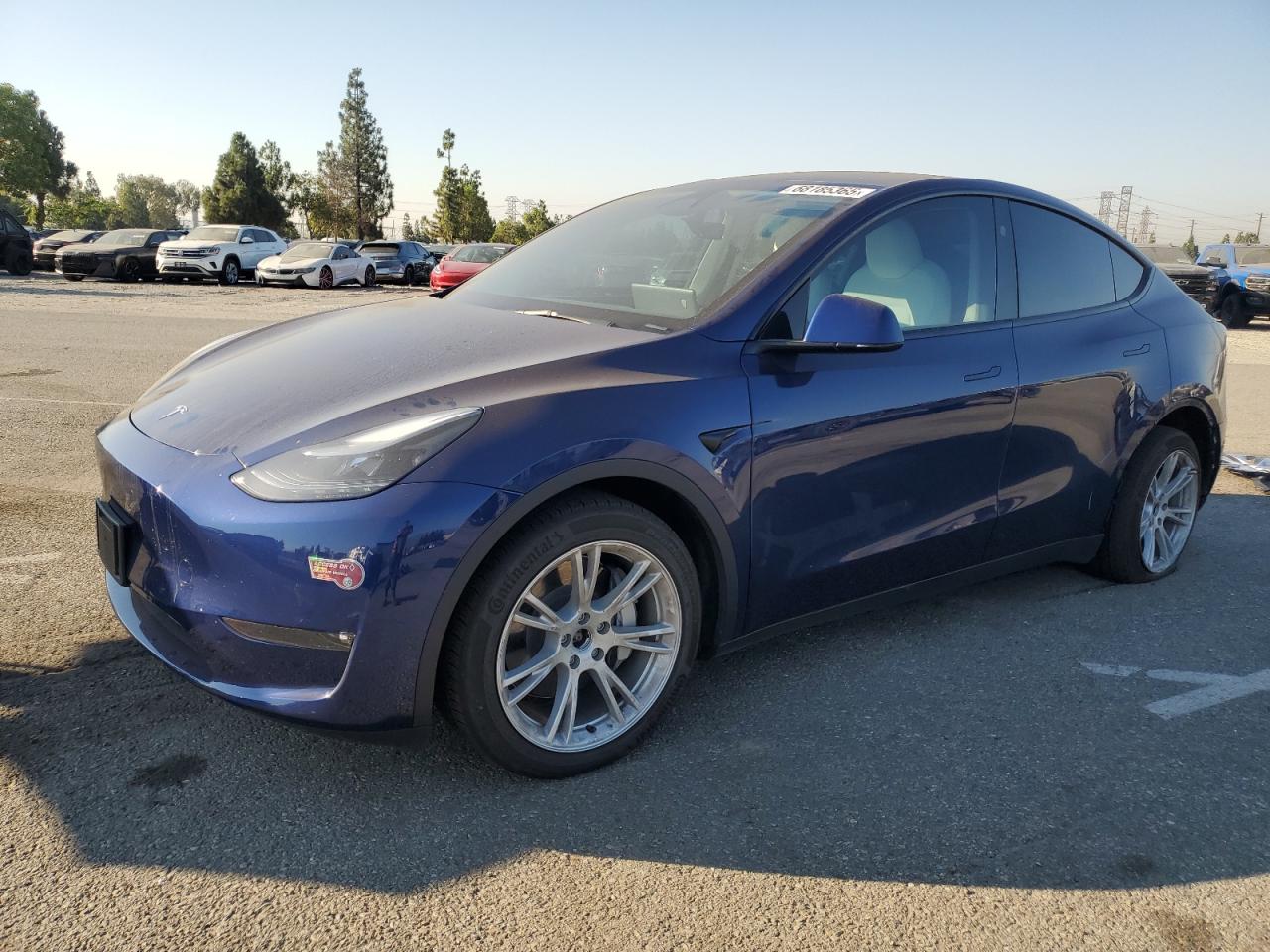 TESLA MODEL Y