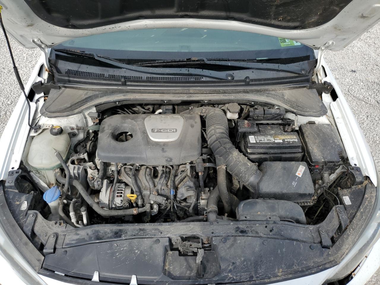 HYUNDAI ELANTRA SPORT