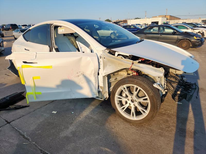 2023 TESLA MODEL Y #3301880454