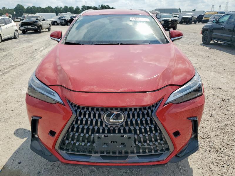 2024 LEXUS NX 250 BAS 2T2ADCAZ0RC007052