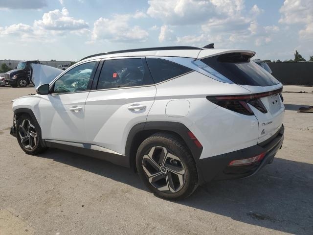 2024 HYUNDAI TUCSON LIM 5NMJECDE3RH369915