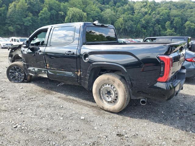 2024 TOYOTA TUNDRA CREWMAX PLATINUM 5TFNA5DB5RX193987
