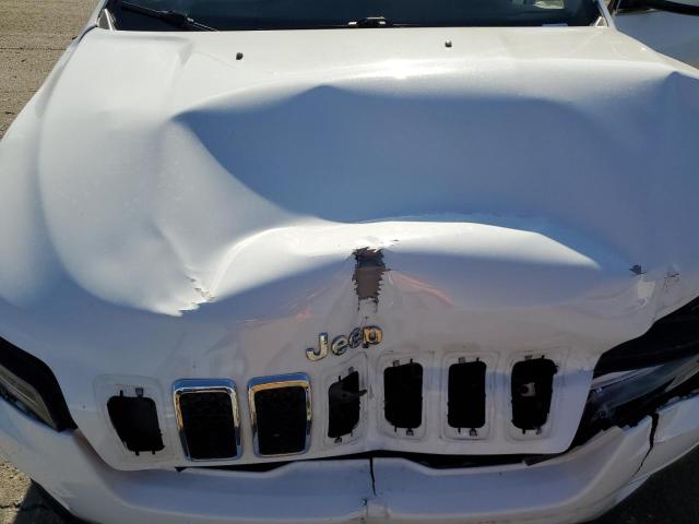 2021 JEEP CHEROKEE L - 1C4PJLMX1MD150329