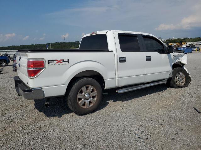 2010 FORD F150 SUPERCREW - 1FTFW1EV0AKE52829