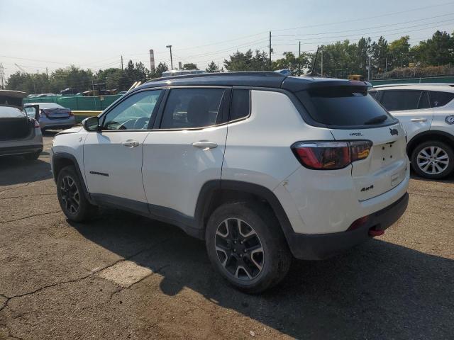 2019 JEEP COMPASS TR 3C4NJDDB7KT729320