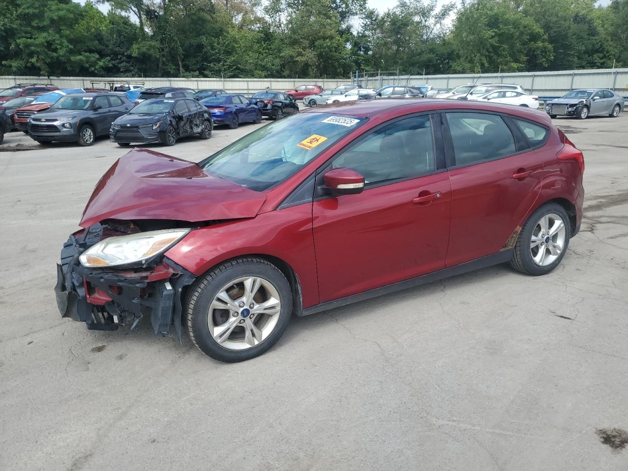 FORD FOCUS SE