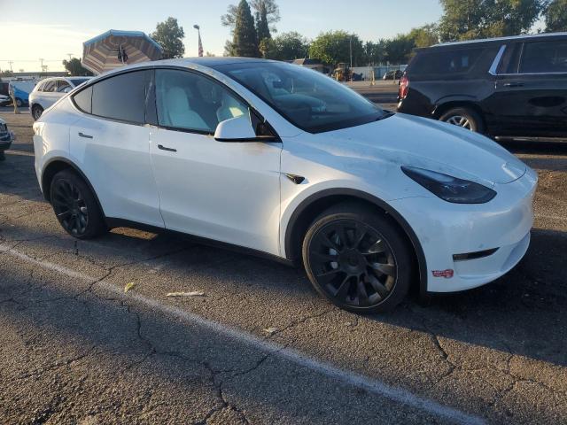 2024 TESLA MODEL Y 7SAYGDEE6RA232661