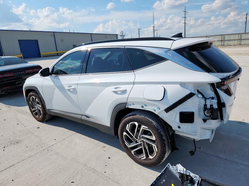 2025 HYUNDAI TUCSON LIM 5NMJE3DE3SH561373