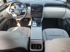 Lot #3303881729 2023 HYUNDAI TUCSON SEL CONVENIENCE