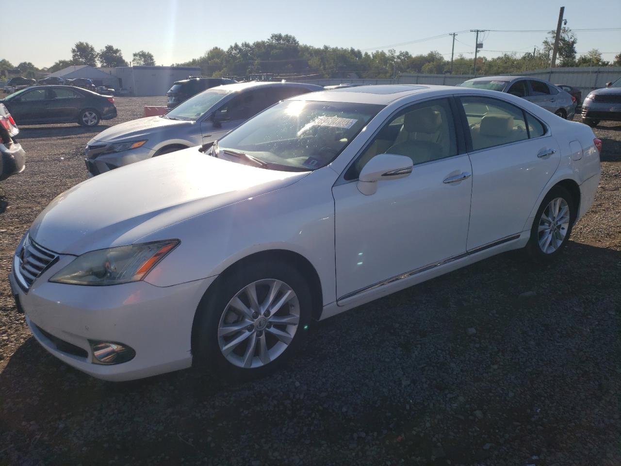 LEXUS ES 350