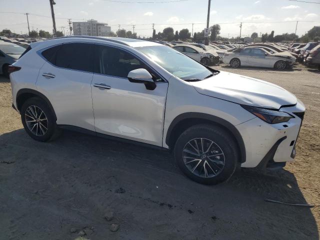 2025 LEXUS NX 250 BAS 2T2ADCAZ1SC025730