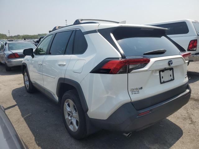 2019 TOYOTA RAV4 LE - JTMMWRFV0KD003788