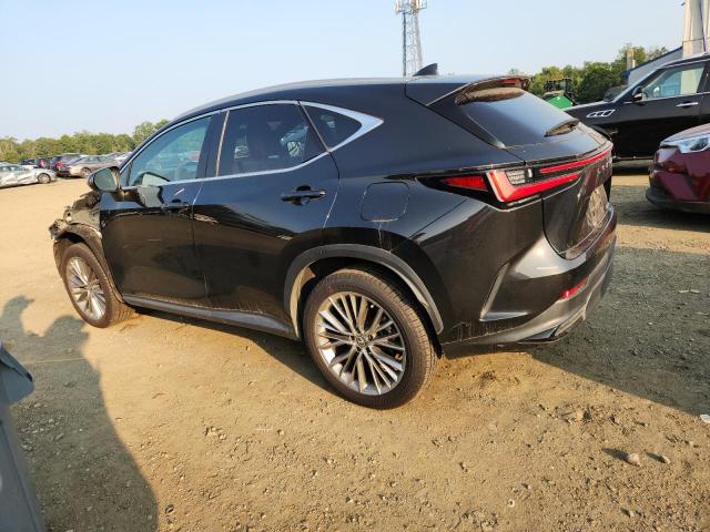 2022 LEXUS NX 350 2T2HGCEZ2NC008505