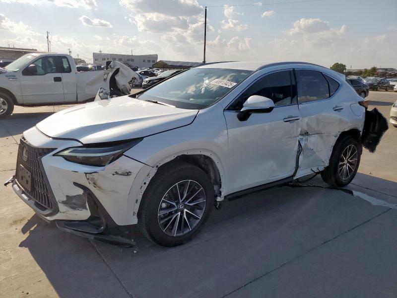 LEXUS NX 250