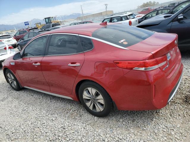2019 KIA OPTIMA HYBRID KNAGU4LE9K5032479