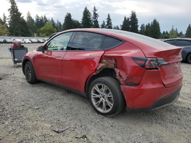2023 TESLA MODEL Y 7SAYGDEE0PF824122