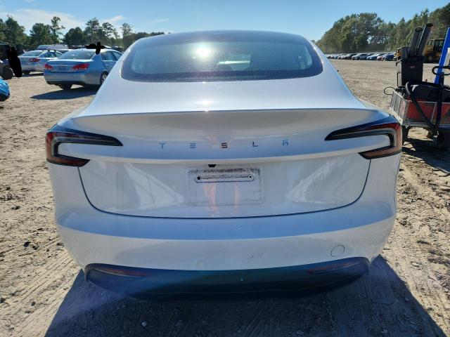 2025 TESLA MODEL 3 5YJ3E1EA8SF020510