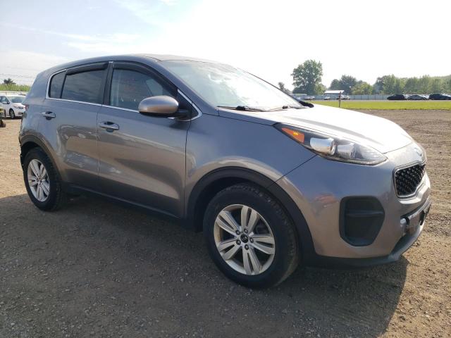 2019 KIA SPORTAGE L KNDPM3AC1K7502457