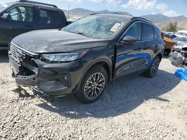 2025 FORD ESCAPE - 1FMCU0E16SUA68815