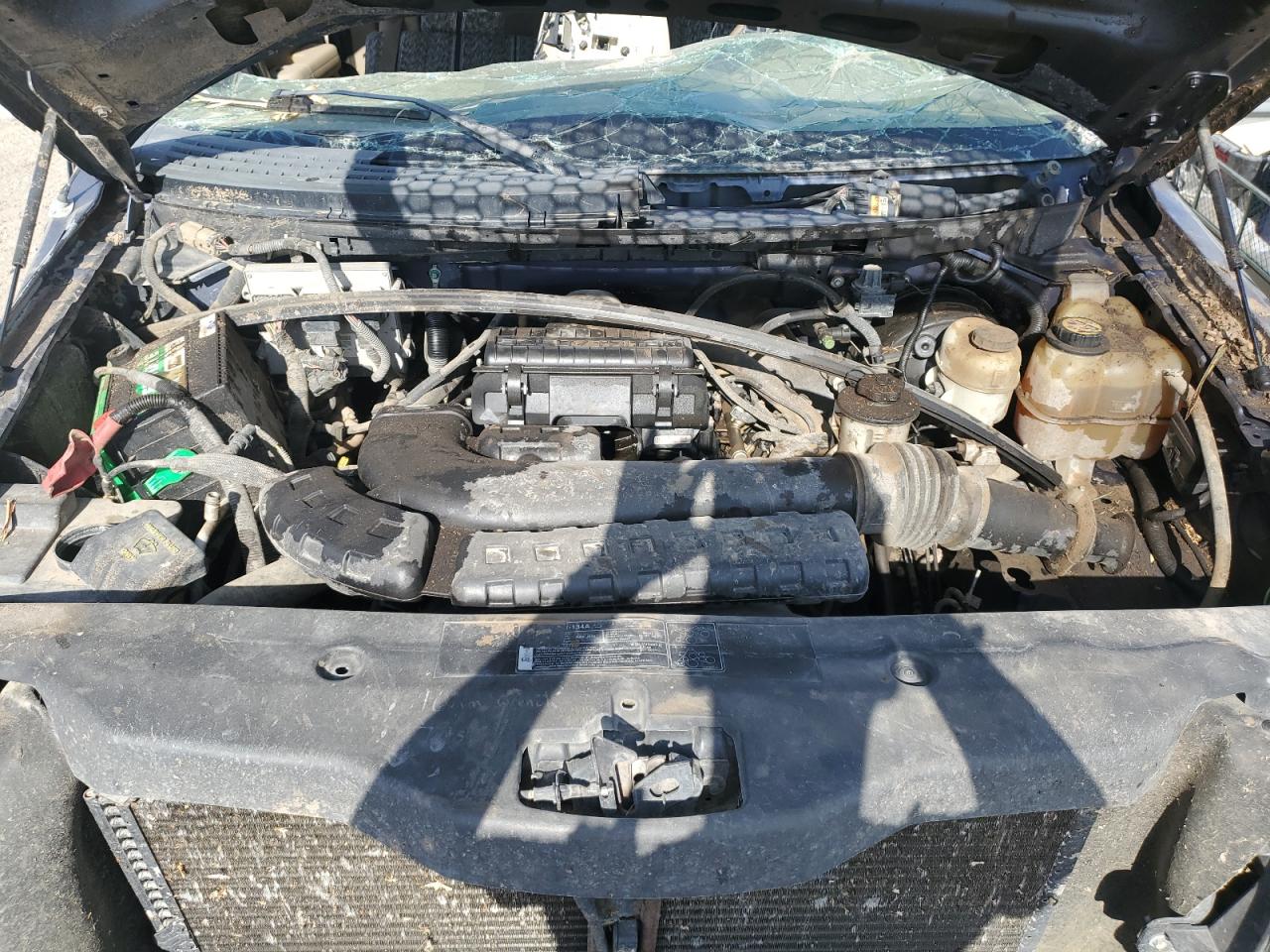 Lot #3235721879 2005 FORD F150