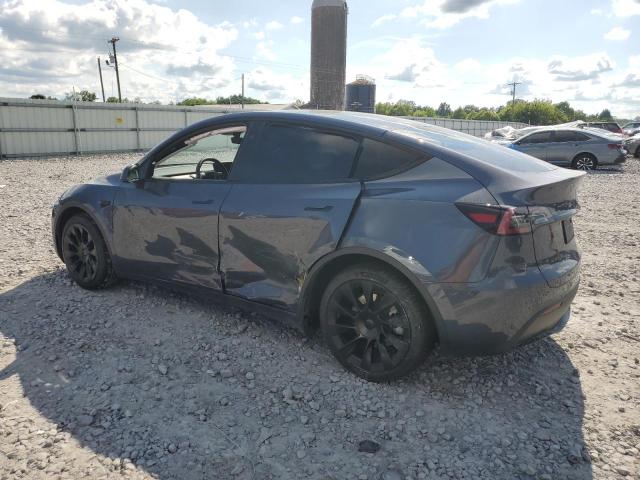 2023 TESLA MODEL Y 7SAYGDEE8PA159600