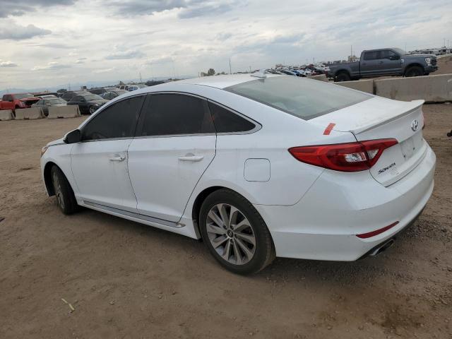 2016 HYUNDAI SONATA SPO 5NPE34AF3GH261580