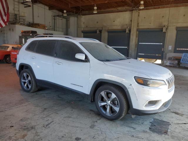 2019 JEEP CHEROKEE L 1C4PJLDB4KD392257