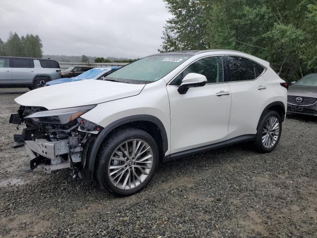 2024 LEXUS NX 350 LUX 2T2HGCEZ8RC032006