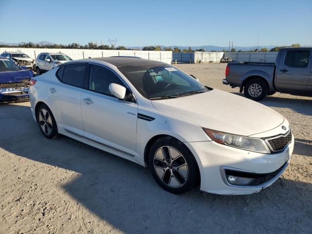 2013 KIA OPTIMA HYB - KNAGM4AD0D5057770