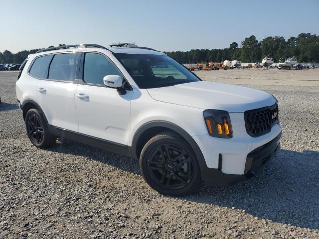2024 KIA TELLURIDE EX 5XYP3DGC7RG558271
