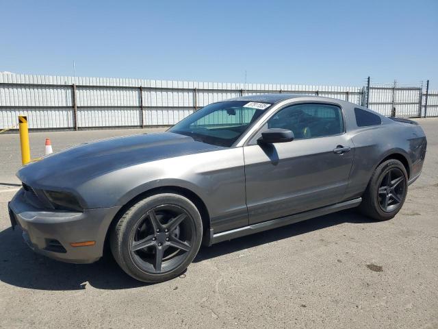 2010 FORD MUSTANG - 1ZVBP8AN2A5176157