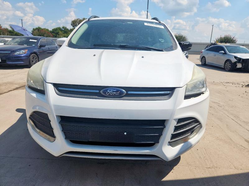2014 FORD ESCAPE SE - 1FMCU0GX6EUB29537