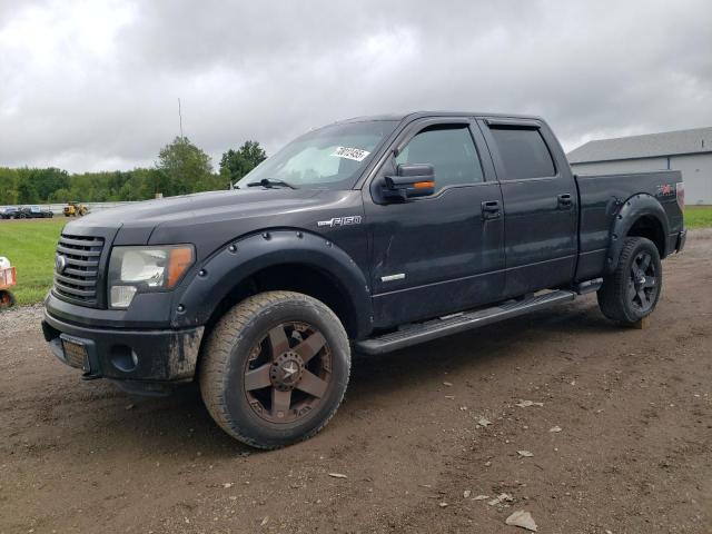 2011 FORD F150 SUPERCREW - 1FTFW1ET5BFA88593