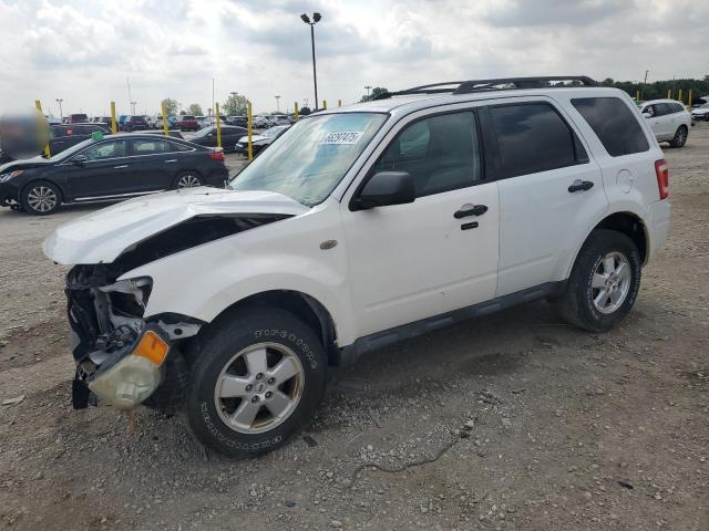 FORD ESCAPE XLT
