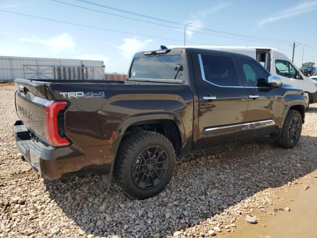 2024 TOYOTA TUNDRA CRE - 5TFMA5DB5RX171788